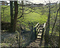 Footbridge over drain near Barlow's Farm, Heskin in Heskin Green