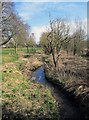 Battlefield Brook on western edge of Sanders Park, Bromsgrove, Worcs in B61 7EQ