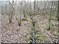Clanger Wood, ditch in BA14 6AG