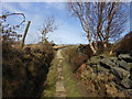 The Pennine Bridleway climbing out of Jumble Hole Clough in OL14 8RS