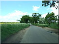 Country road in springtime Norfolk in Walsingham
