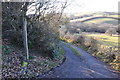 West Somerset : Small Track in TA22 9SA