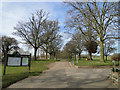 Notice board and avenue of trees in Bourne Park in IP2 8LU