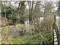 Wildlife pond near Bourne Park in IP2 8LL