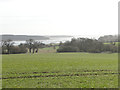 Redgate Farm on the banks of the River Orwell in IP9 2AE