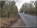 The A346 in Savernake Forest in SN8 3HW