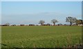 Farmland, North Tuddenham in NR20 3FU