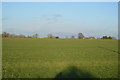 Field, North Tuddenham in NR20 3FU