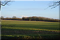 Norfolk farmland landscape in NR20 3DD