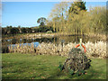 Life buoy by the village pond in Pilson Green in NR13 6EB