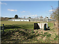 Just some of the many greenhouses at Newbourne in Newbourne