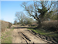 Marsh Road becomes a track in NR13 6EG