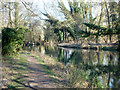 Kennet Navigation east of Wickham Knights Bridge in RG7 5RT