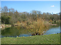 Fishing lake at Holly Farm in NR13 6EW