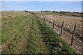 Bridleway near Long Down in BN20 7XY