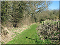 Footpath to Upton Fen in NR13 6EW