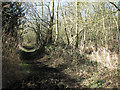 Public footpath to Holly Farm in NR13 6EW
