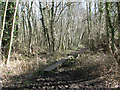 Plankbridge on footpath in NR13 6EW