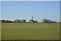 Chettisham seen across a field in CB6 1RX