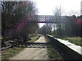 Bridge over the Trans Pennine Trail, Killamarsh in S20 8GN