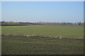 Farmland by Hereward Way in Downham