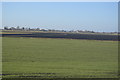 Flat Fenland Farmland in Downham