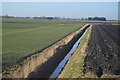 Field Drain off Thirty Foot Drain in CB6 2EQ