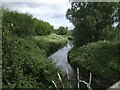 River Tame flows peacefully in WS10 8LP