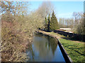 Canal east of Froud's Bridge in RG7 4LG
