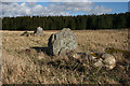 Stoneyfield Stone Circle (3) in AB54 6AN