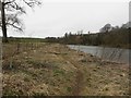Path beside the River Tweed in TD15 2GP