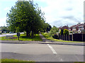 View down Leeming Lane North in NG19 9EZ