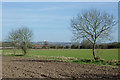 Farmland  east of Himley, Staffordshire in DY6 7SA