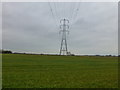 Pylons cross the flat landscape at Much Hoole in PR4 4GL