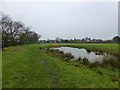 Pond next to path near Hall Lane,Longton in PR4 5GH
