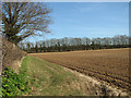 View along a field margin beside Woodbastwick Road in NR13 6JE