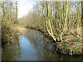 Water course linking Scotshole and South Walsham broads in NR13 6EF