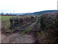 Track and bridleway in NP8 1RR
