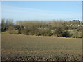 Crop field towards the Anston Brook in S25 5BG