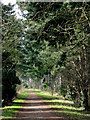 South Staffordshire Railway Walk near Himley, Staffordshire in DY6 7SA