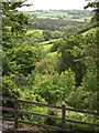The Tamar Valley from Tutwell in PL17 8LY
