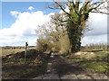 Mid Suffolk Footpath in IP21 5AZ
