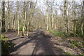Looking along Old London Road from bridleway junction in KT24 5SE