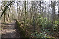 Bridleway going east in Ridings Wood in KT24 5SE
