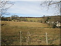Grazing land by Kinellan in IV14 9BZ