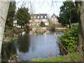 Pond at Theydon Grove in CM16 5BH