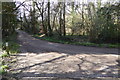 Footpath meets Cranmore Lane in KT24 6EF