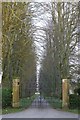 Gates and an avenue of limes in RG20 9NR