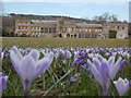 Forde Abbey: view of the house across the large lawn in TA20 4LU
