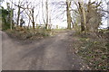 Junction of bridleway and footpath in Barnsthorns Wood in GU23 6FL